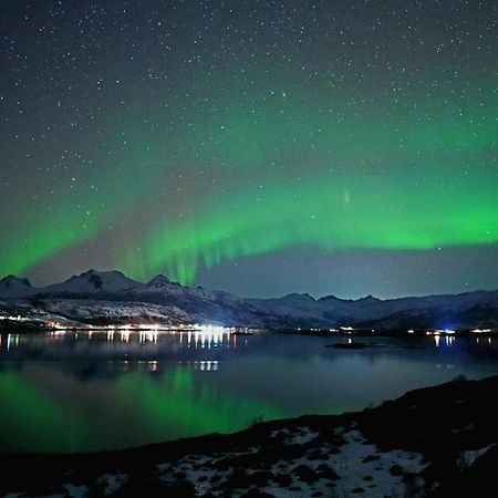 2. Etg I Dampskipsbrygga, Lodingen Havn المظهر الخارجي الصورة