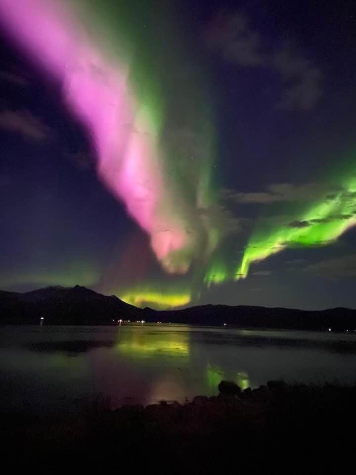 2. Etg I Dampskipsbrygga, Lodingen Havn المظهر الخارجي الصورة